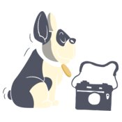 Dog Camera